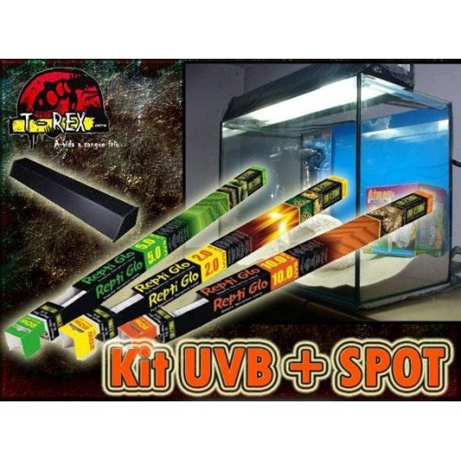  Lâmpada UVB  + Spot Répteis 60cm