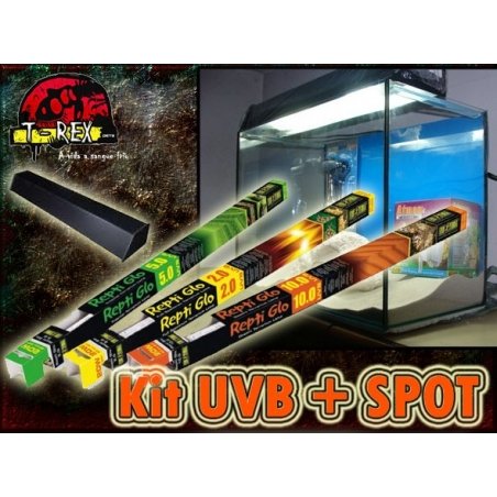  Lâmpada UVB  + Spot Répteis 60cm