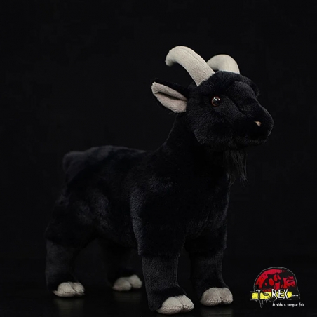 Black best sale phillip plush