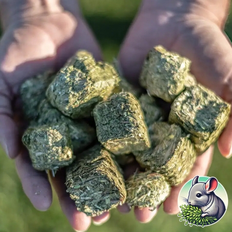 alfafa para chinchila