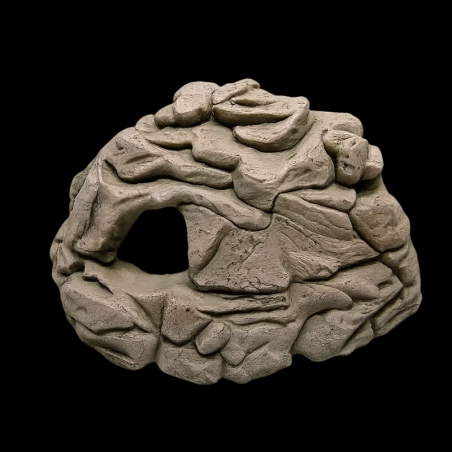 toca úmida para cobra