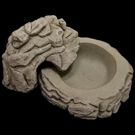 Toca umida répteis cobras