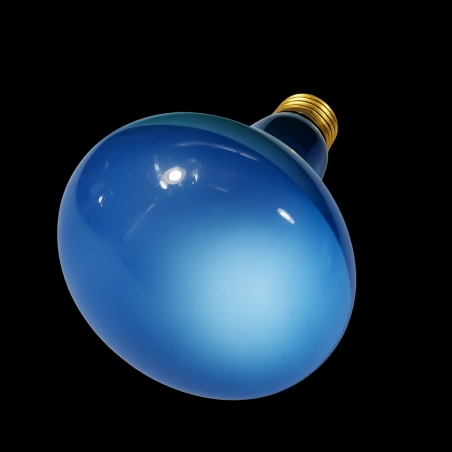 Lampada para Jabuti Terrario