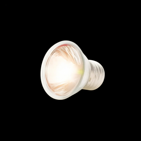 Lâmpada para Tartaruga