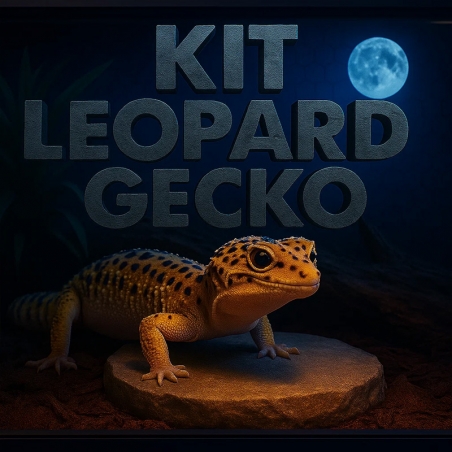 Kit Leopard Gecko Lâmpada e Cálcio