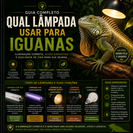 Qual lâmpada usar para iguana