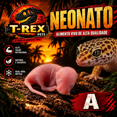 Neonato Rato Congelado