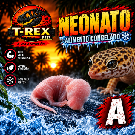 Neonato rato congelado