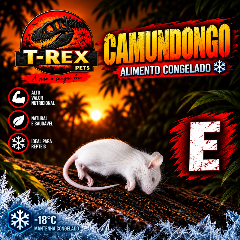 Rato alimento para cobra