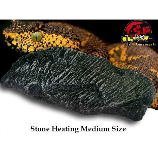 Pedra Aquecedora M - Desertic Répteis | Pogona | Gecko