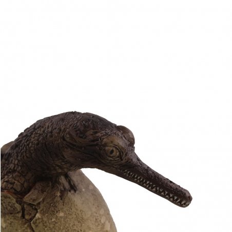 Gavial - Crocodilo no Ovo - Réplica Répteis
