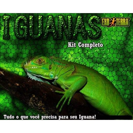 Kit Iguana Completo Répteis | Terrário