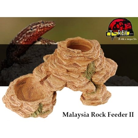 Malaysia Rock Feeder II | Terrário | Pogona | Gecko
