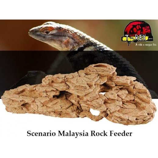 Cenário Malaysia Rock | Terrário | Pogona | Gecko