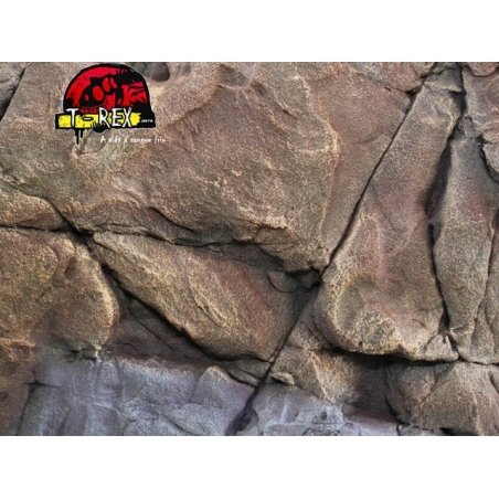 Background Rochoso 3d  Repteis | Iguana
