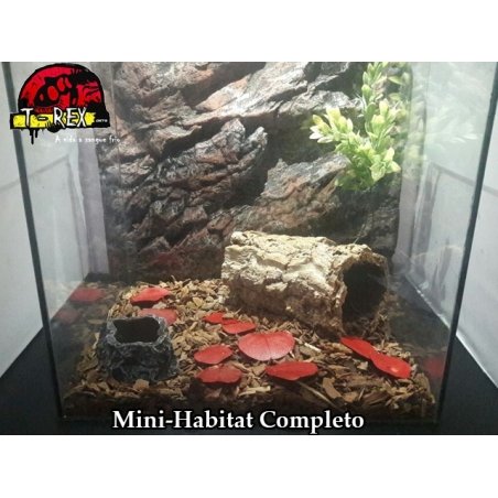 Mini-Habitat Floresta