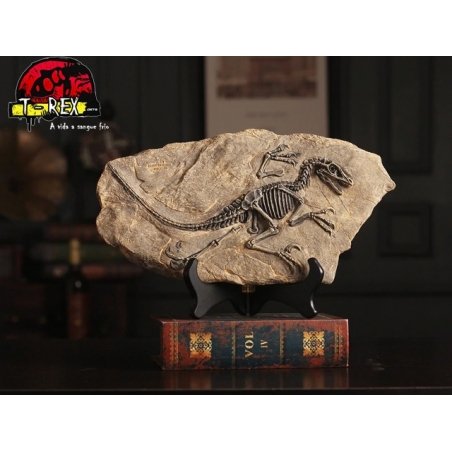 Fóssil Carcharodontosaurus - Jurassic Park - Réplica Dinossauro