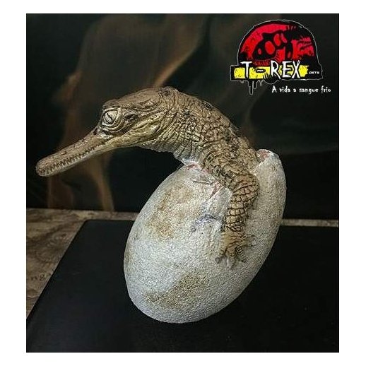 Gavial - Crocodilo no Ovo - Réplica Répteis