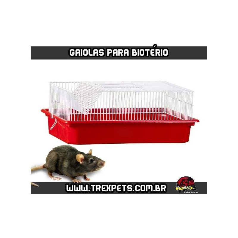 Gaiola para Biotério - Criação Camundongos - Mercol - Hamster