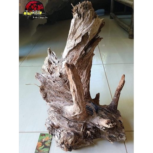 Tronco Natural Africano Mopani Wood