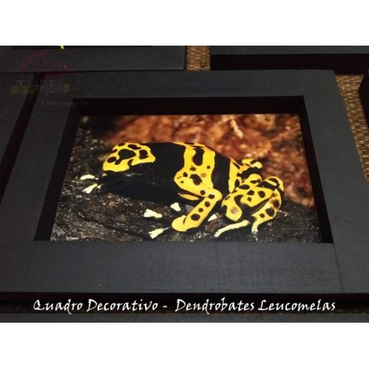 Quadro Herpetofauna