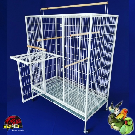 VIVEIRO ARARA - CACATUA - PAPAGAIOS DO CONGO