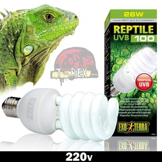 Lampada para iguanas 220v