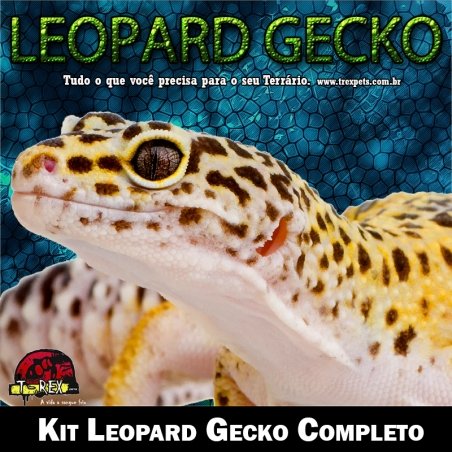 Produtos para Leopard Gecko
