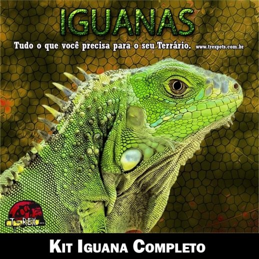 Lâmpada Iguana