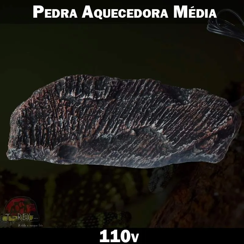 Pedra aquecida para cobra repteis