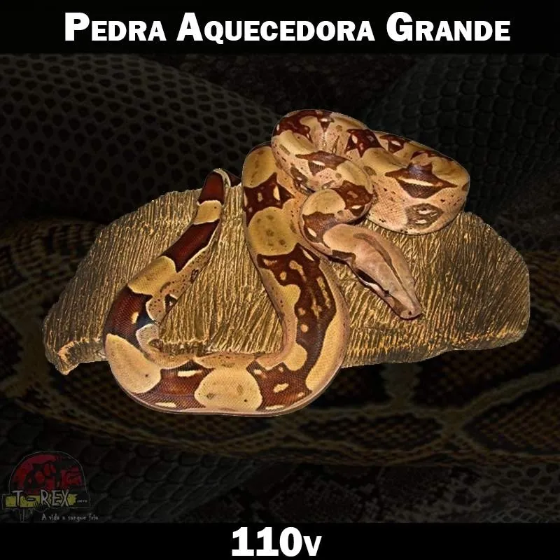 Pedra Aquecida para Répteis