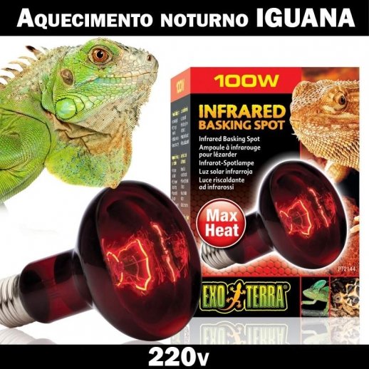 Lampada para terrario Iguana