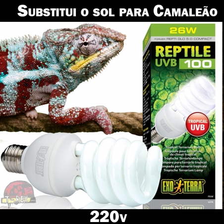 Lâmpada para Répteis Camaleão