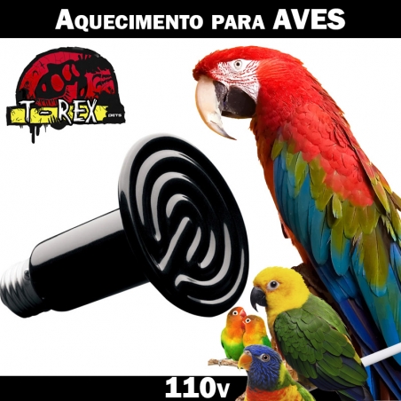 Lampada aquecimento aves