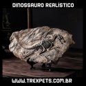 Fóssil Carcharodontosaurus - Réplica Dinossauro