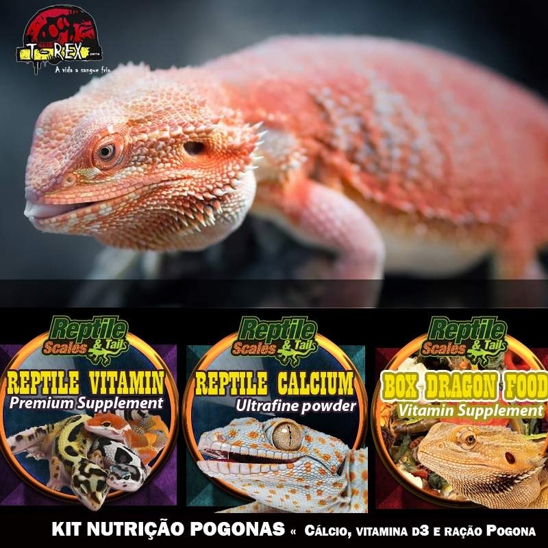 calcio vitamina pogona racao dragao barbudo