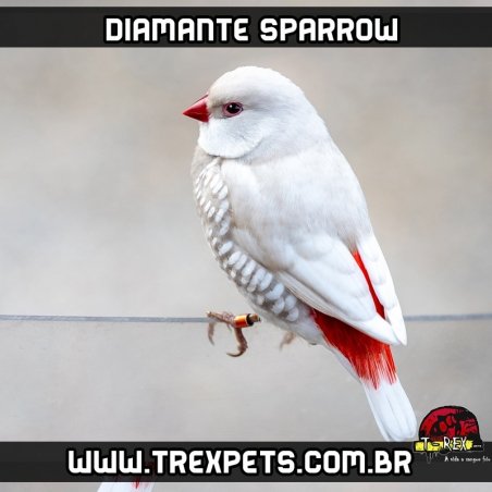 mutação diamante sparrow