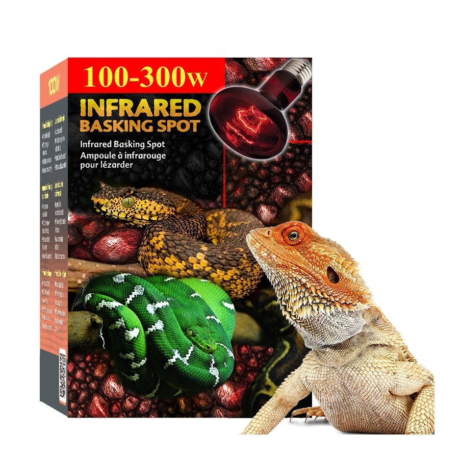 Lâmpada Aquecedora para Pogona