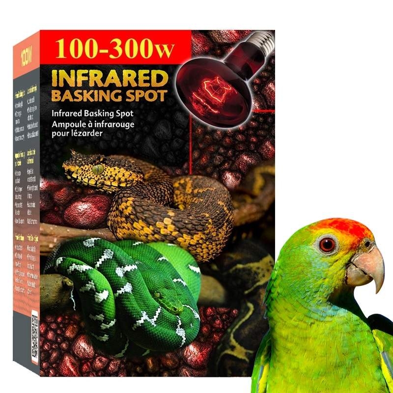 Lâmpada para aquecer gaiola