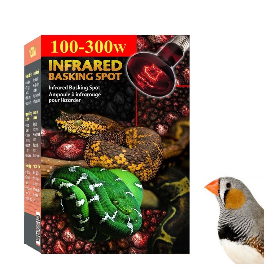 Lâmpada para Aquecer Passarinhos