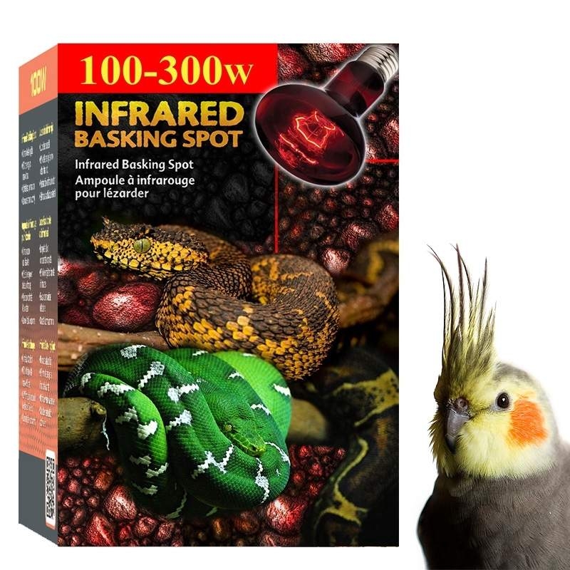 Lâmpada para Aquecer Calopsita