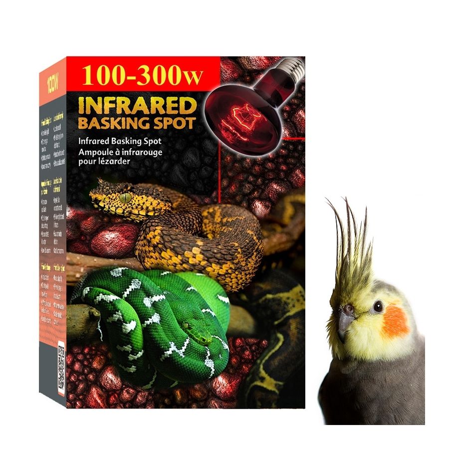 Lâmpada para Aquecer Calopsita