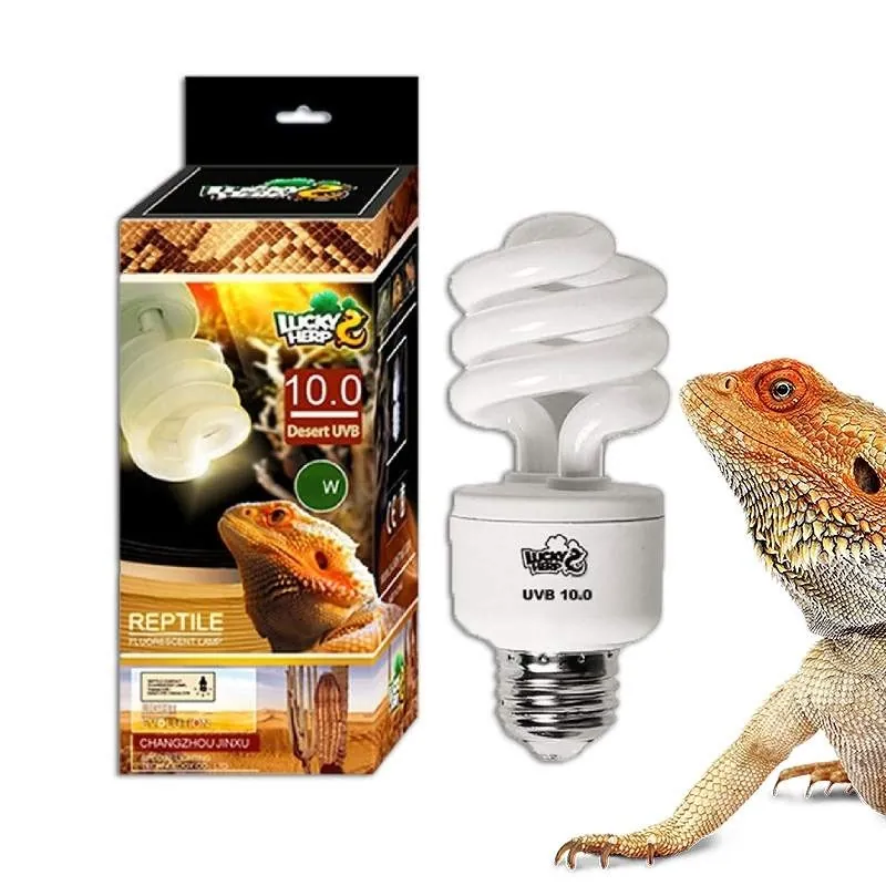 lampada uvb para pogona repteis