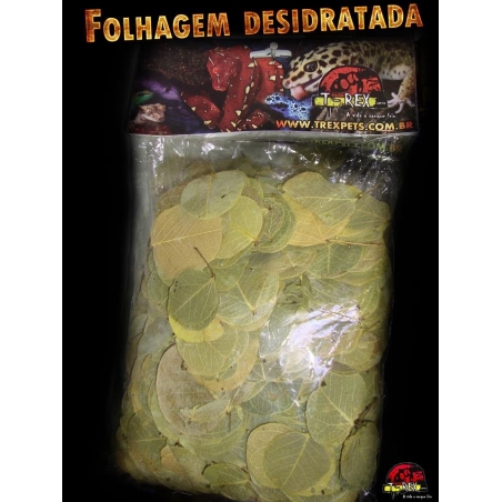 Folhagem Desidratada 06