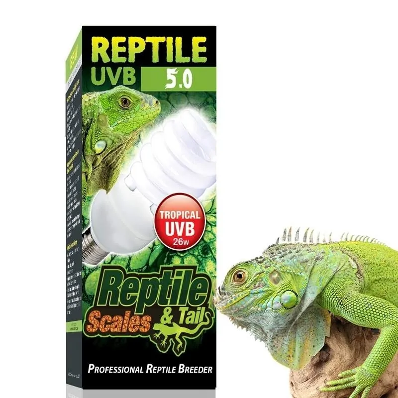 lâmpada uvb para iguana