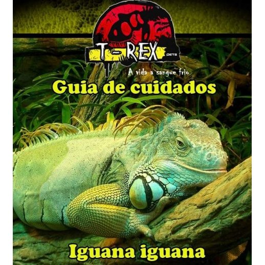 Iguana | Guia de cuidados