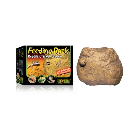 Feeding Rock